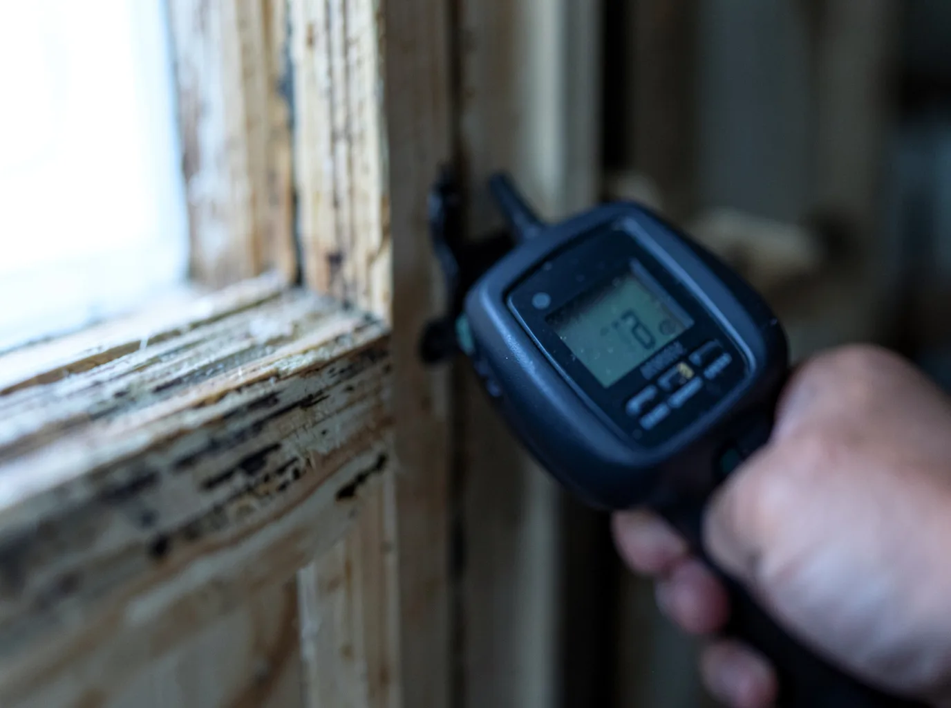 Moisture Inspection And Documentation in Worcester, PA
